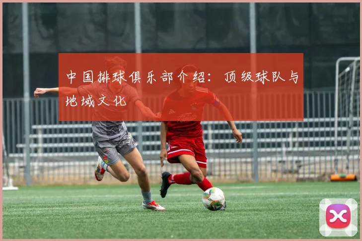 中国排球俱乐部介绍：顶级球队与地域文化