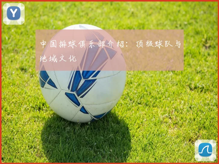 中国排球俱乐部介绍：顶级球队与地域文化